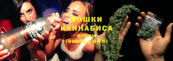 PSILOCYBIN Алексеевка