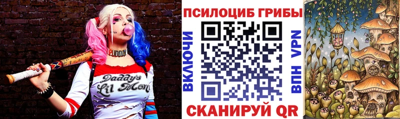 Псилоцибиновые грибы Psilocybe  Купить  Ростов-на-Дону 